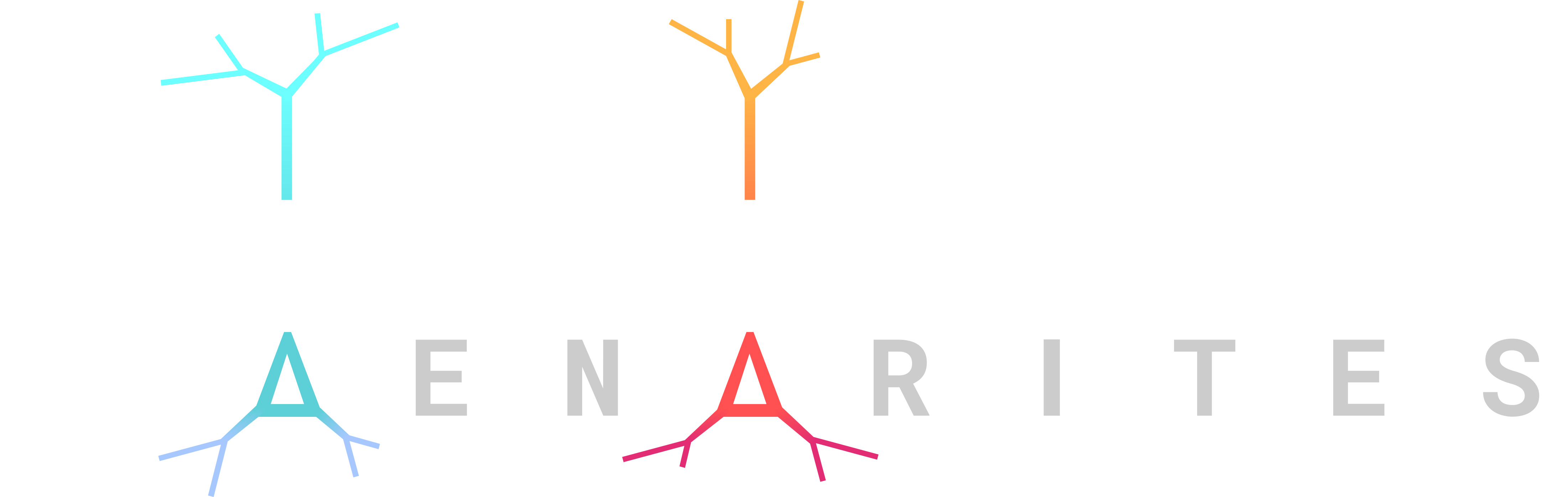 Poirazi Lab Logo